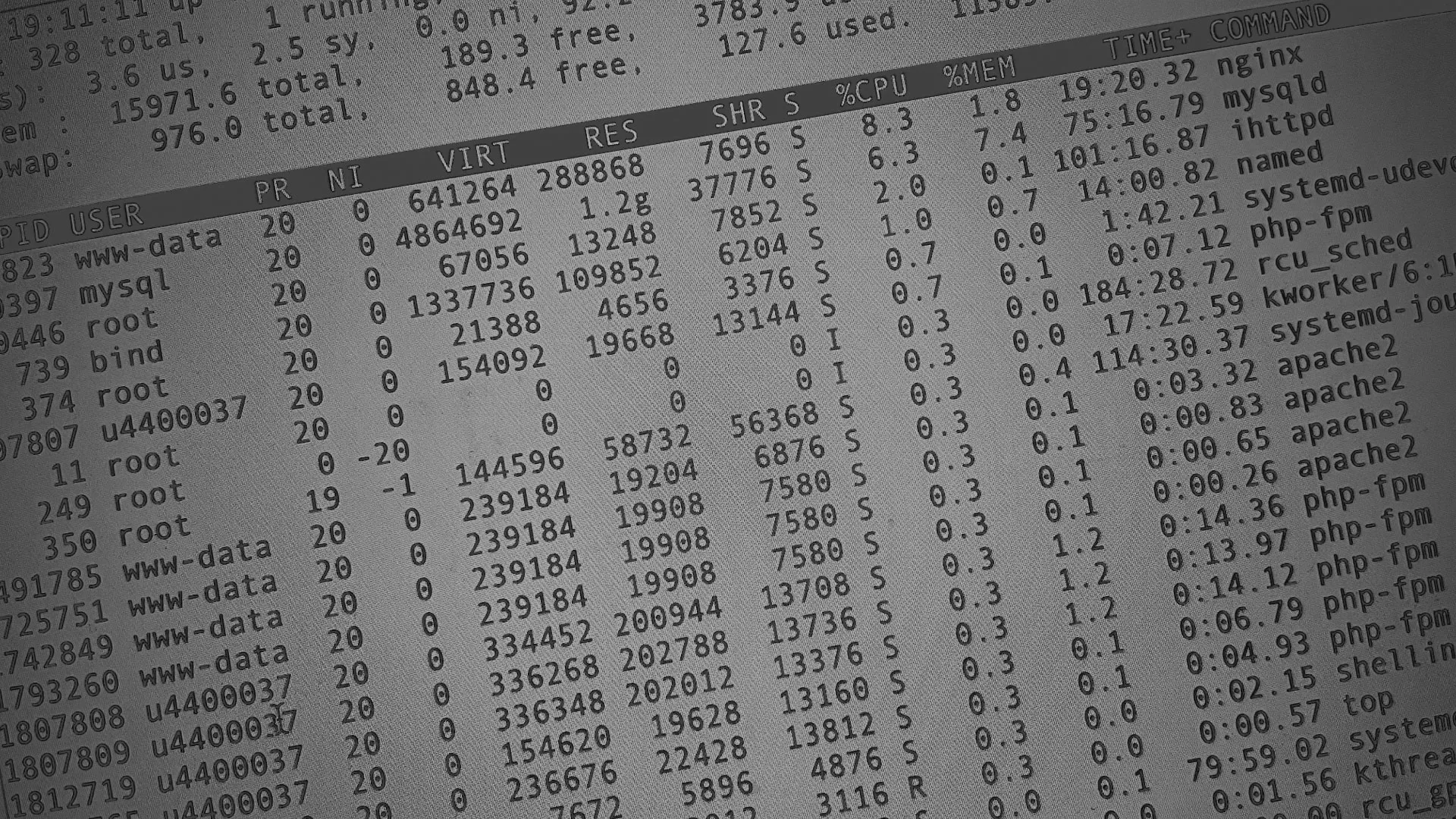 Настройка сервера в Нижнем Ломове