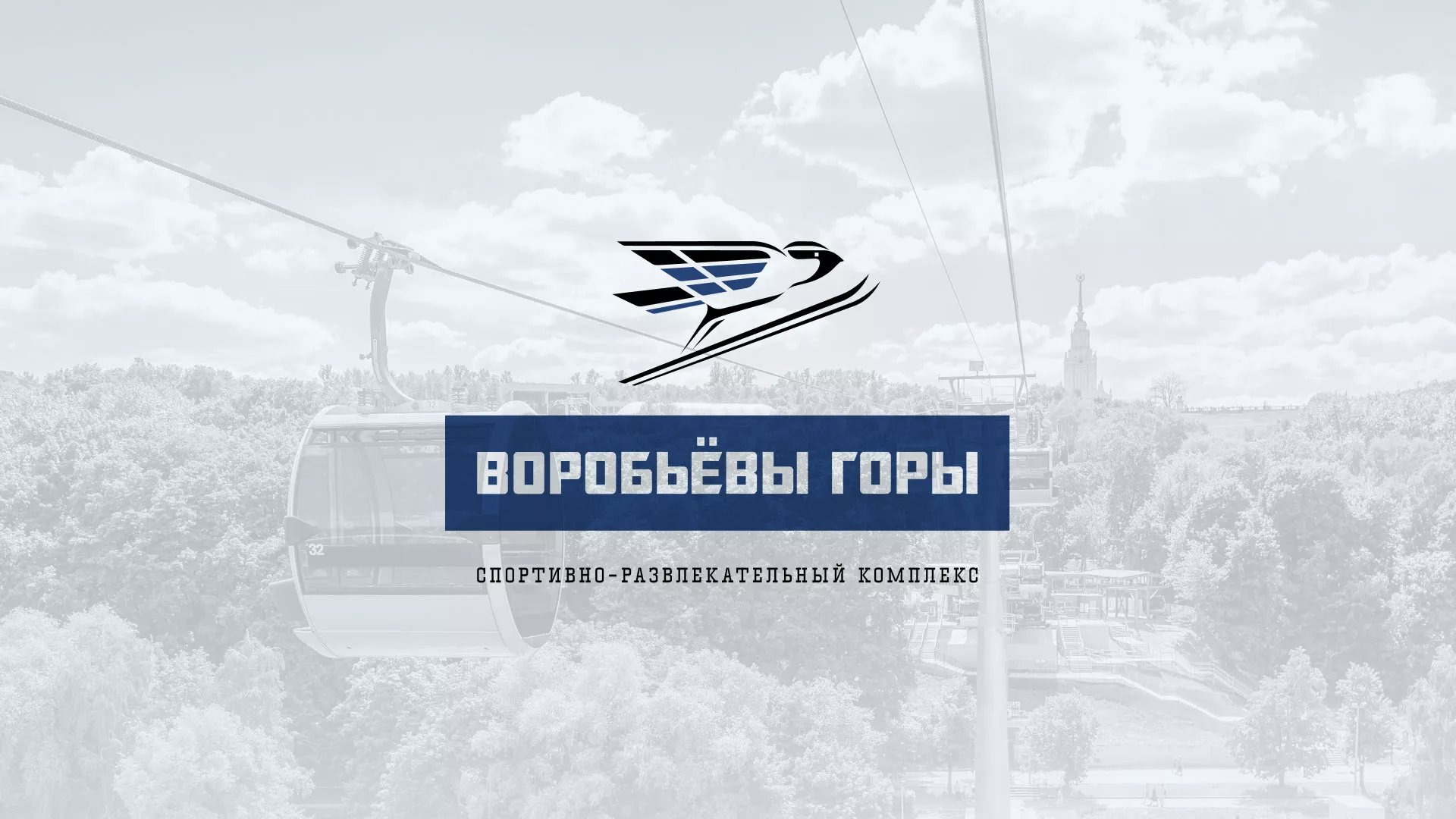 Разработка сайта в Нижнем Ломове для спортивно-развлекательного комплекса «Воробьёвы горы»
