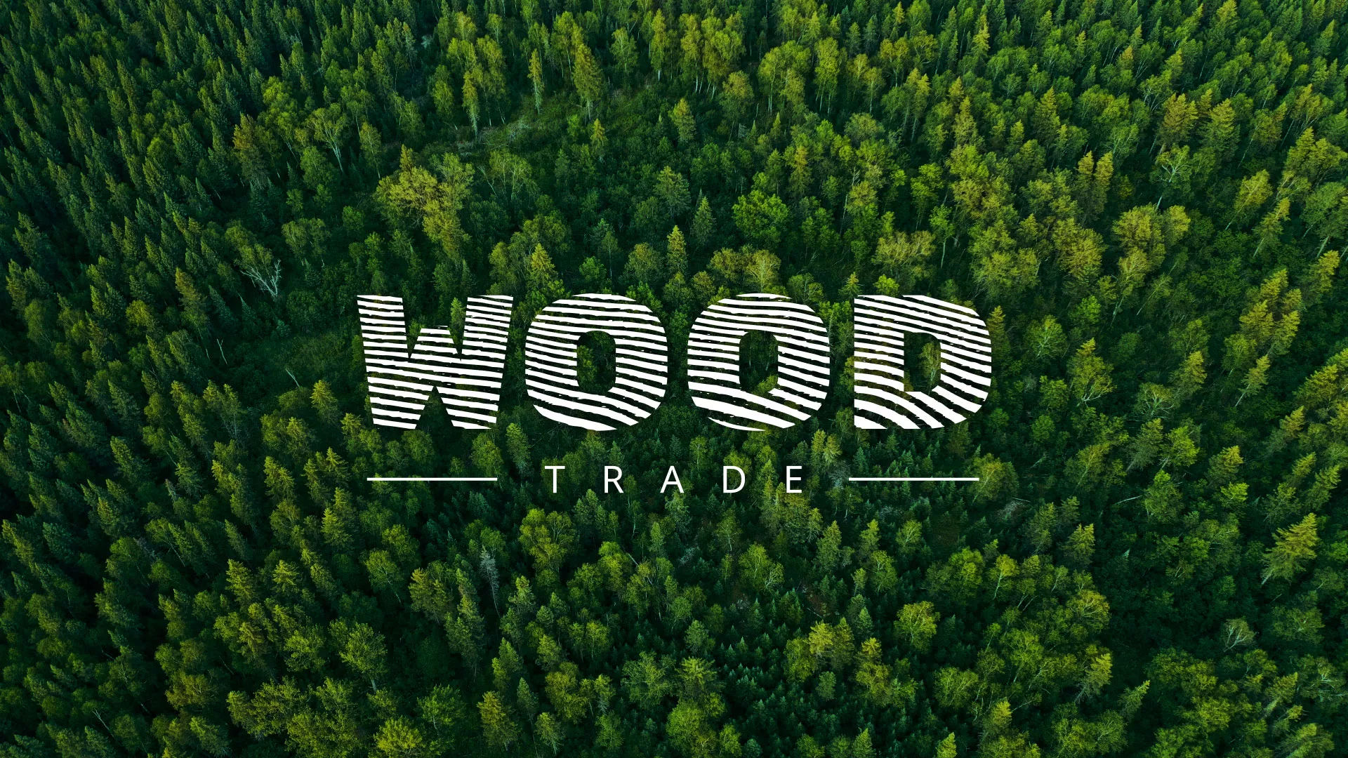 Разработка интернет-магазина компании «Wood Trade» в Нижнем Ломове