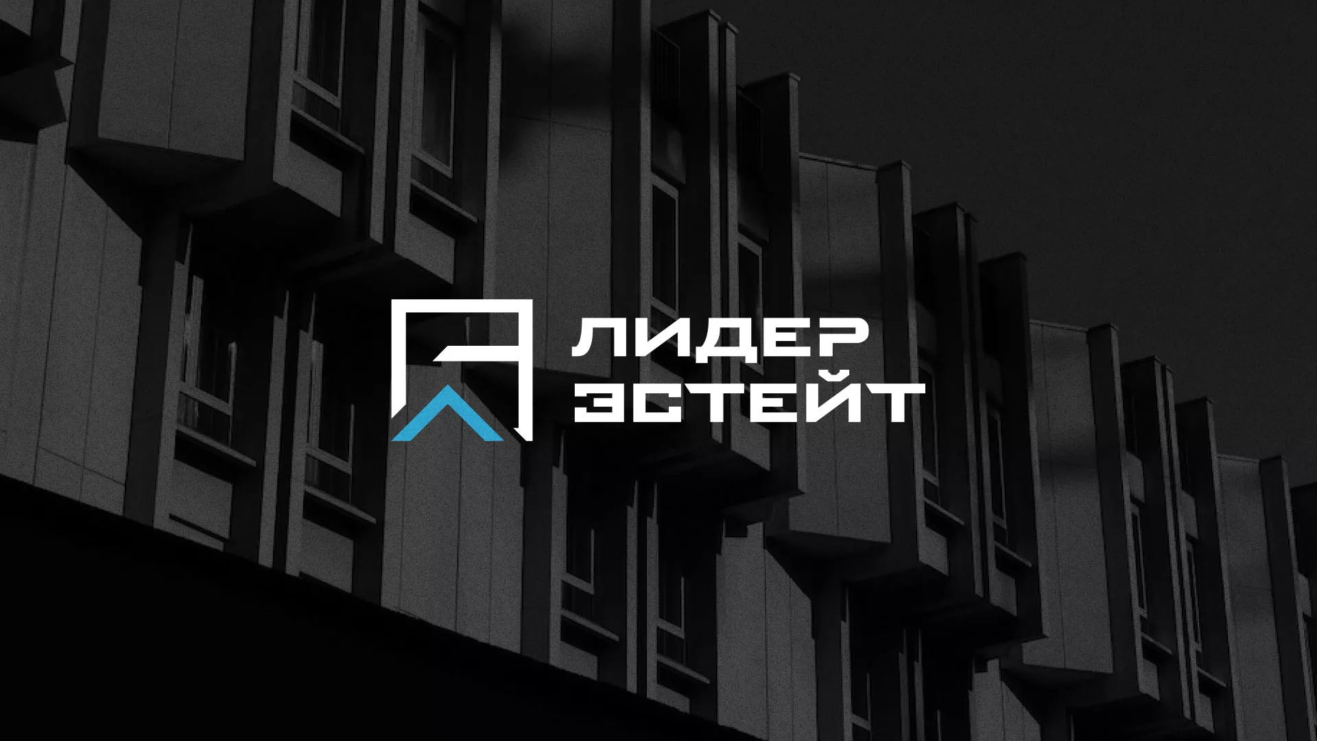 Разработка логотипа агентства недвижимости «Лидер Эстейт» в Нижнем Ломове